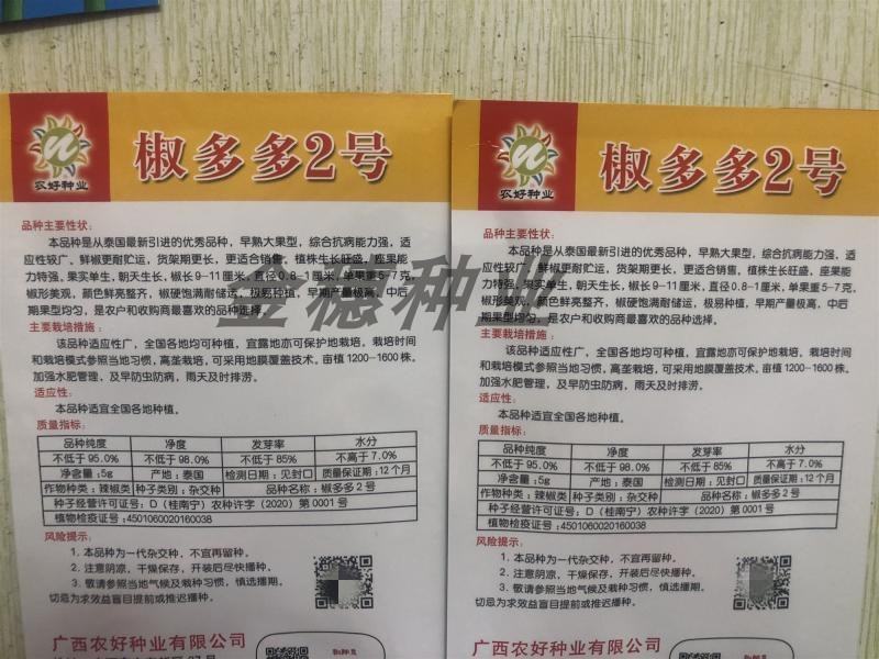 椒多多2号朝天椒种子，椒多多2号二号早熟大果