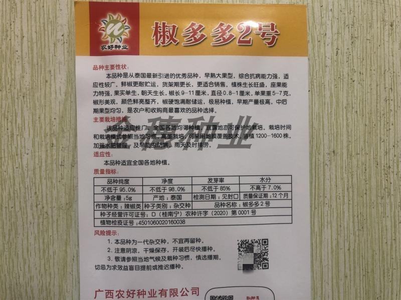 椒多多2号朝天椒种子，椒多多2号二号早熟大果