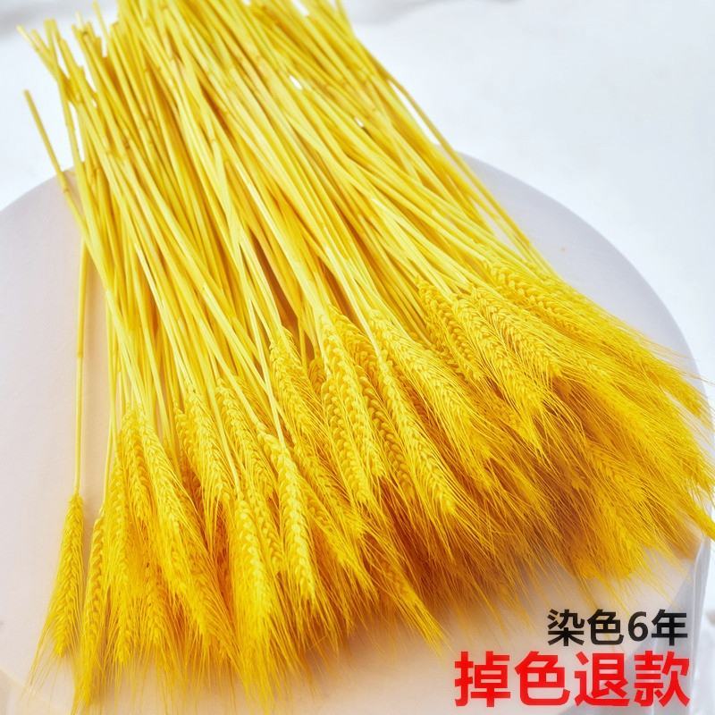 开业大麦，比较畅销的：金黄色大麦，红色大麦，原色大麦！大