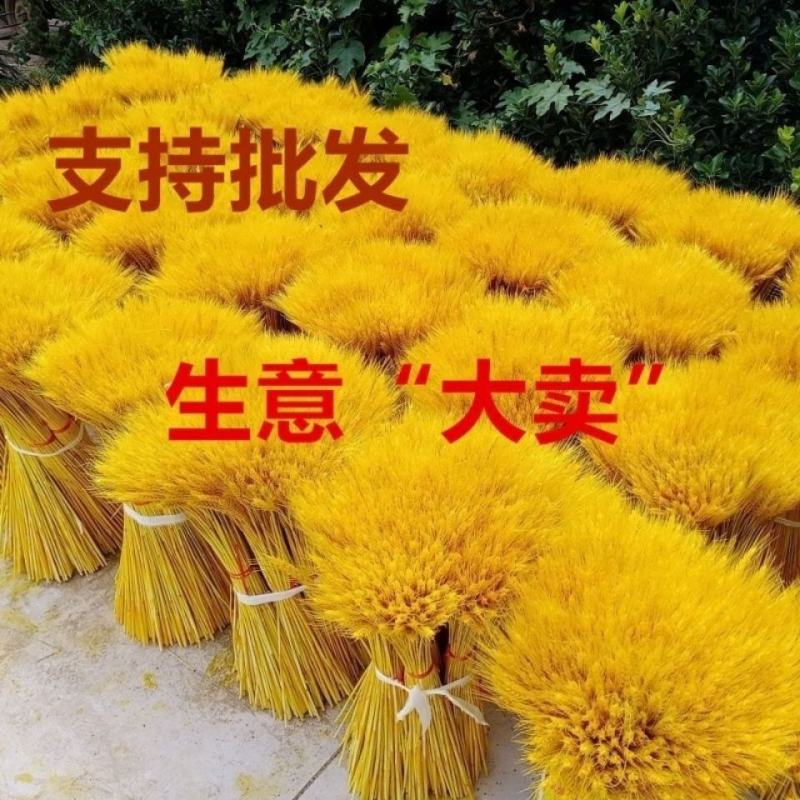 开业大麦，比较畅销的：金黄色大麦，红色大麦，原色大麦！大