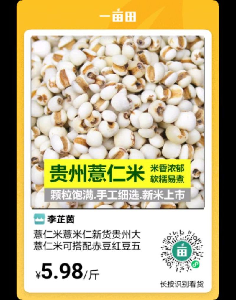 兴仁市薏米