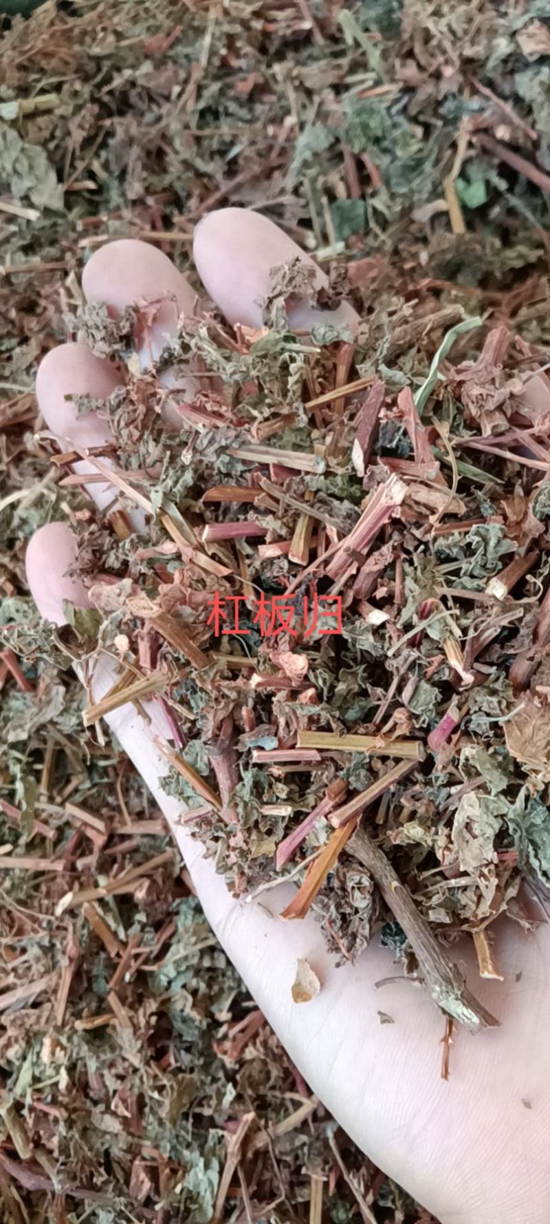 野生无杂无硫无霉杠板归仓库发货，支持当面看货，货好价可谈