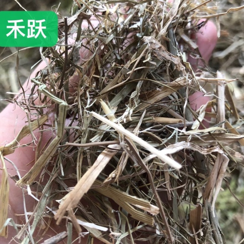 青干草牛养马饲料植物性饲料