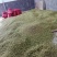 油甘果（滇橄榄）（牛甘果）大量上