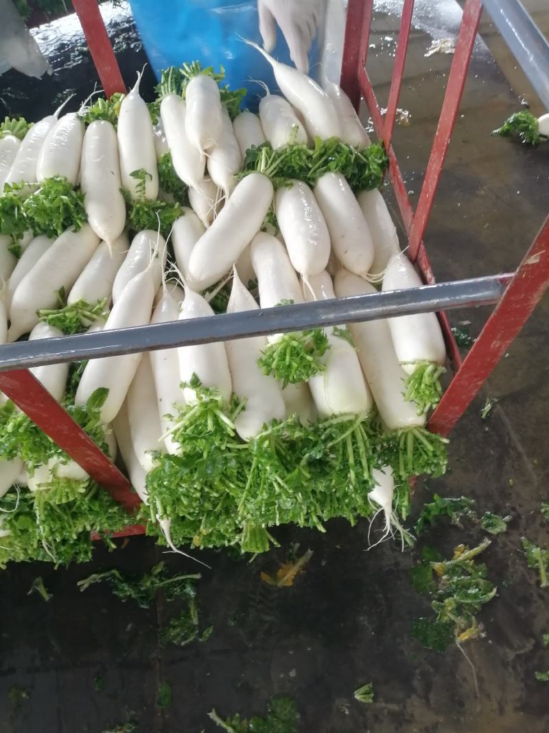 种植专业户