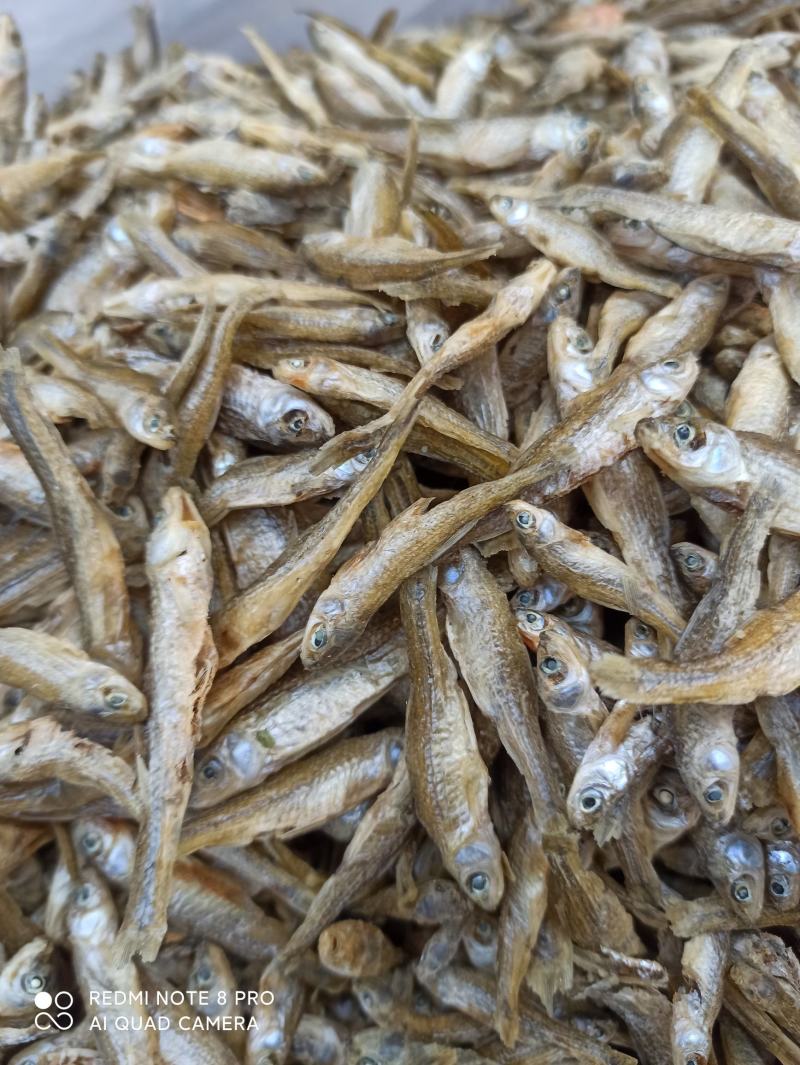 天然淡水麦穗鱼3～6cm大小中品相齐全配青椒好吃香辣酥脆
