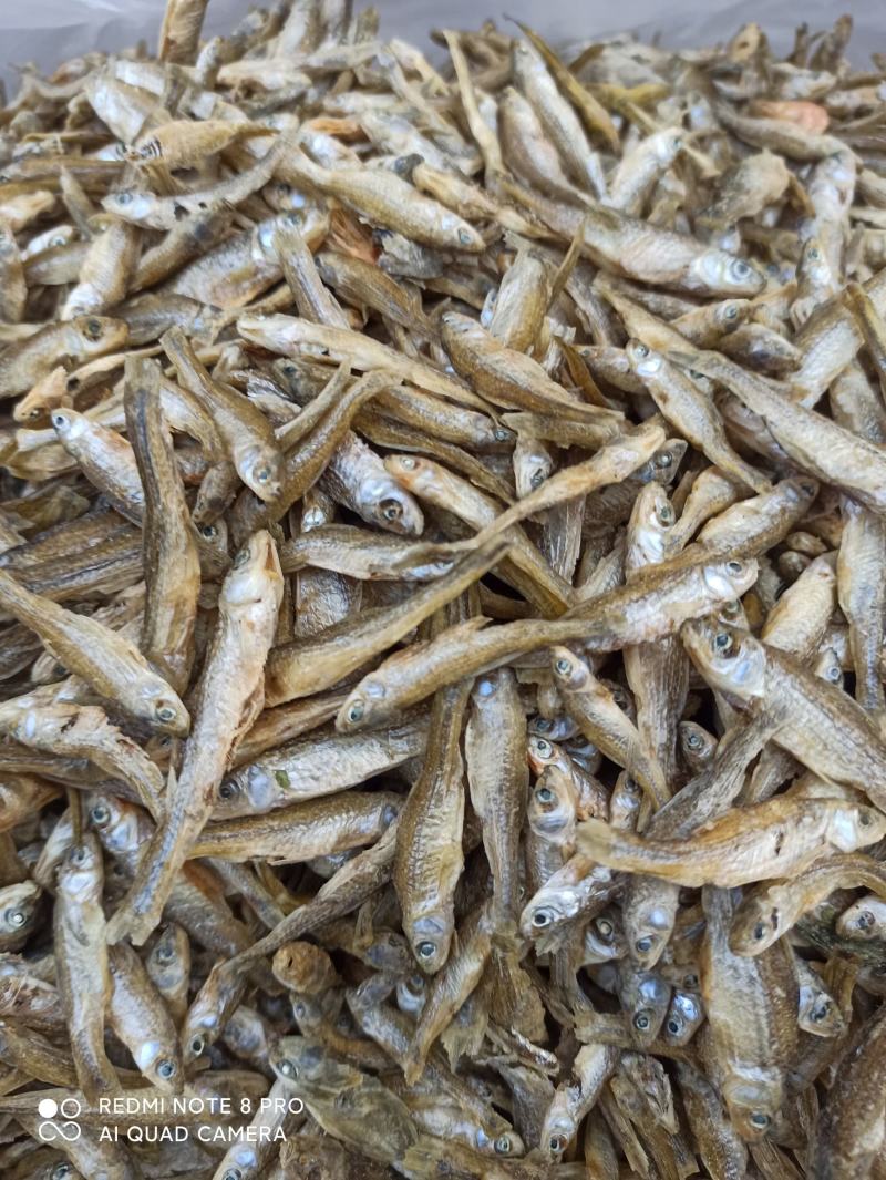 天然淡水麦穗鱼3～6cm大小中品相齐全配青椒好吃香辣酥脆