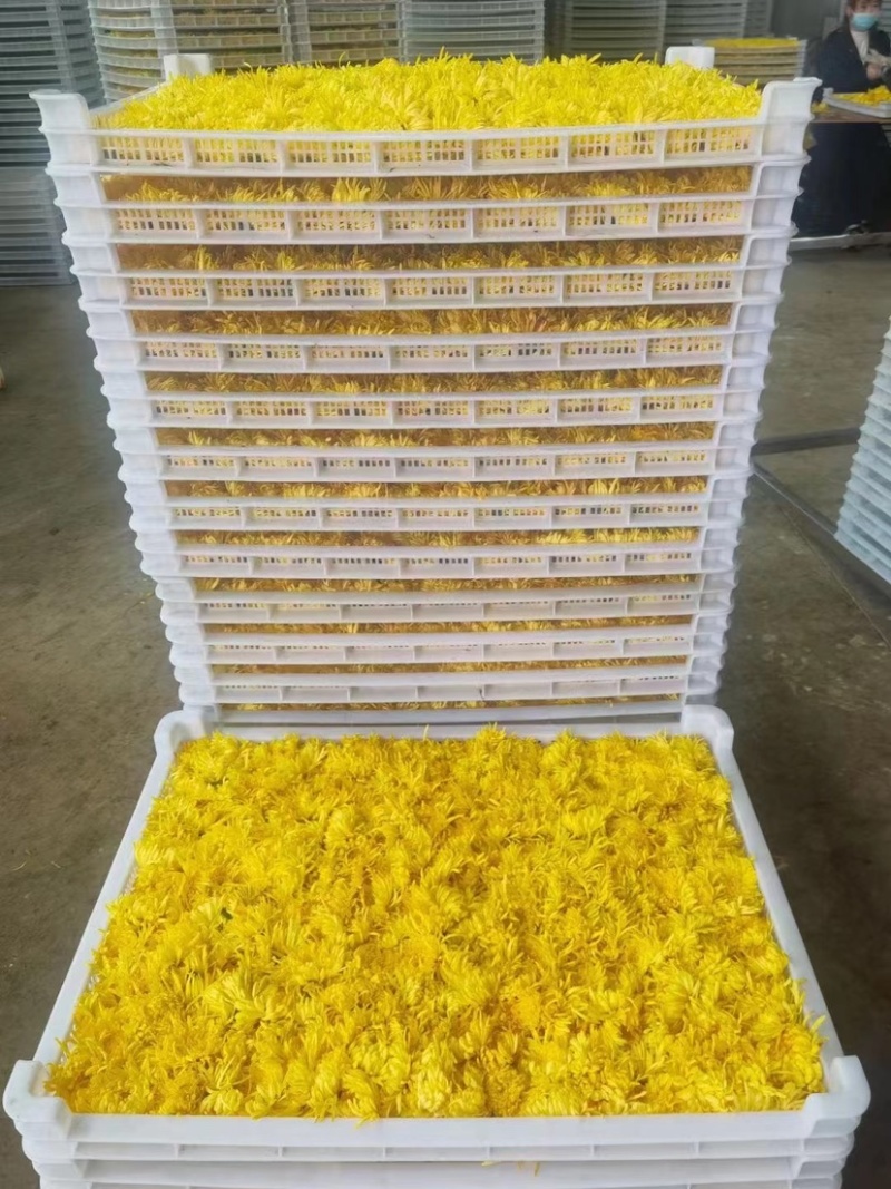 蔬菜辣椒烘干盘塑料托盘晾晒筐食品级白色高温烤盘