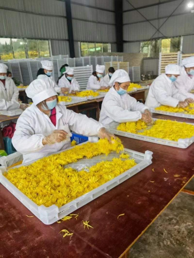 蔬菜辣椒烘干盘塑料托盘晾晒筐食品级白色高温烤盘