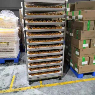 蔬菜辣椒烘干盘塑料托盘晾晒筐食品级白色高温烤盘
