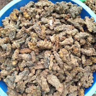 烘干洋姜，洋姜干。