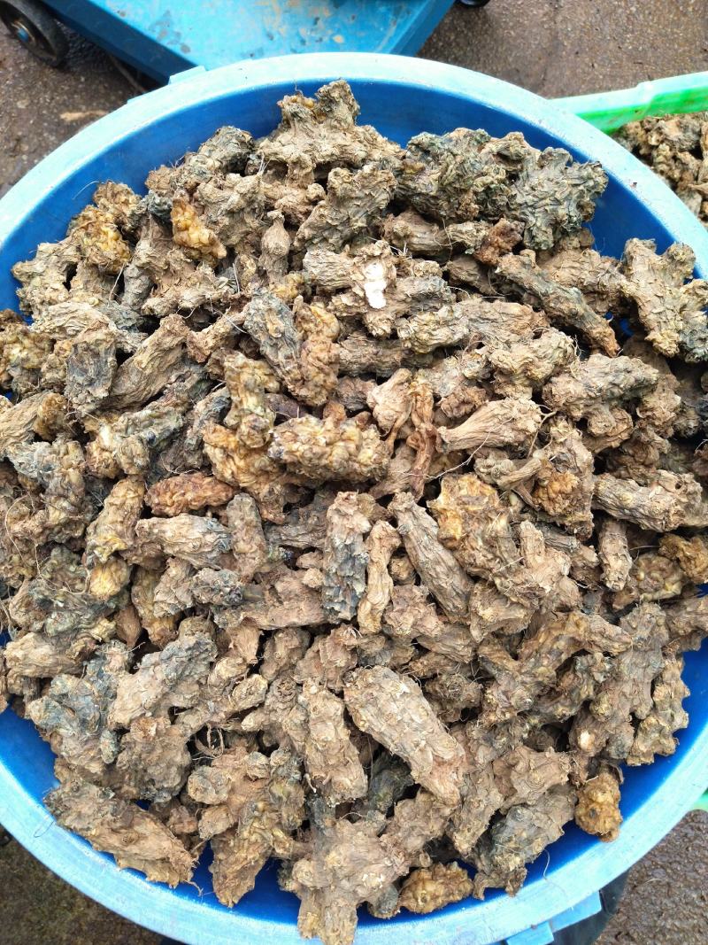 洋姜干片干果菊芋鬼子姜片透亮的不透亮的都有！