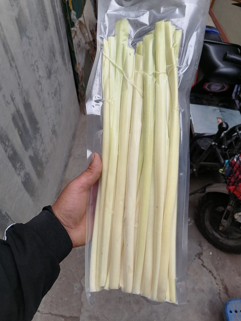 四季经营蒲菜，1-3斤真空包装的精品蒲菜，物美价廉全国发