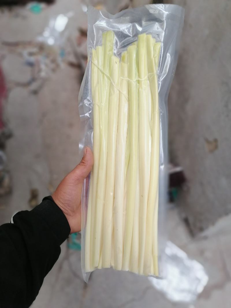 四季经营蒲菜，1-3斤真空包装的精品蒲菜，物美价廉全国发