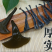 2023霞浦海带根，一斤泡8-9斤
