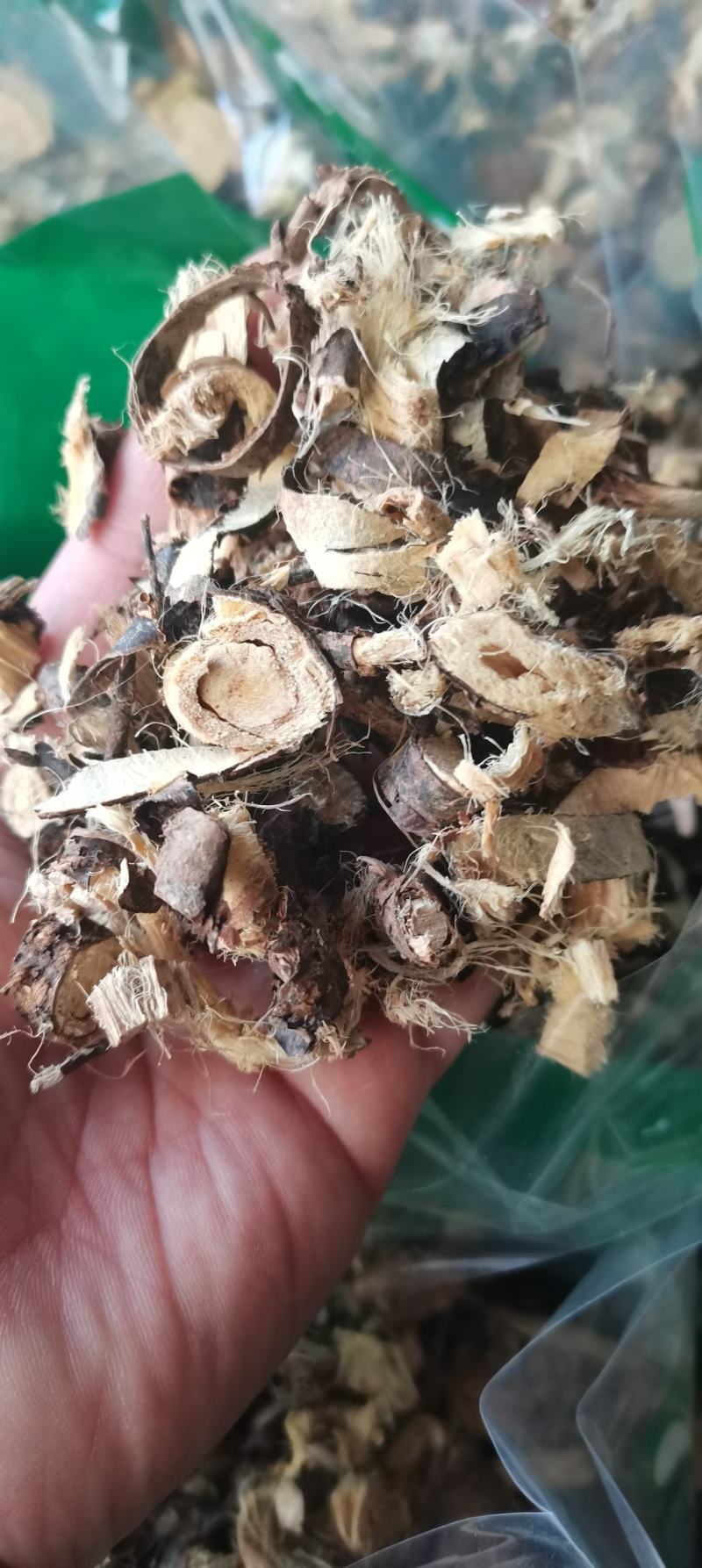 金雀儿根金雀根阳雀花根金雀儿根金雀花根