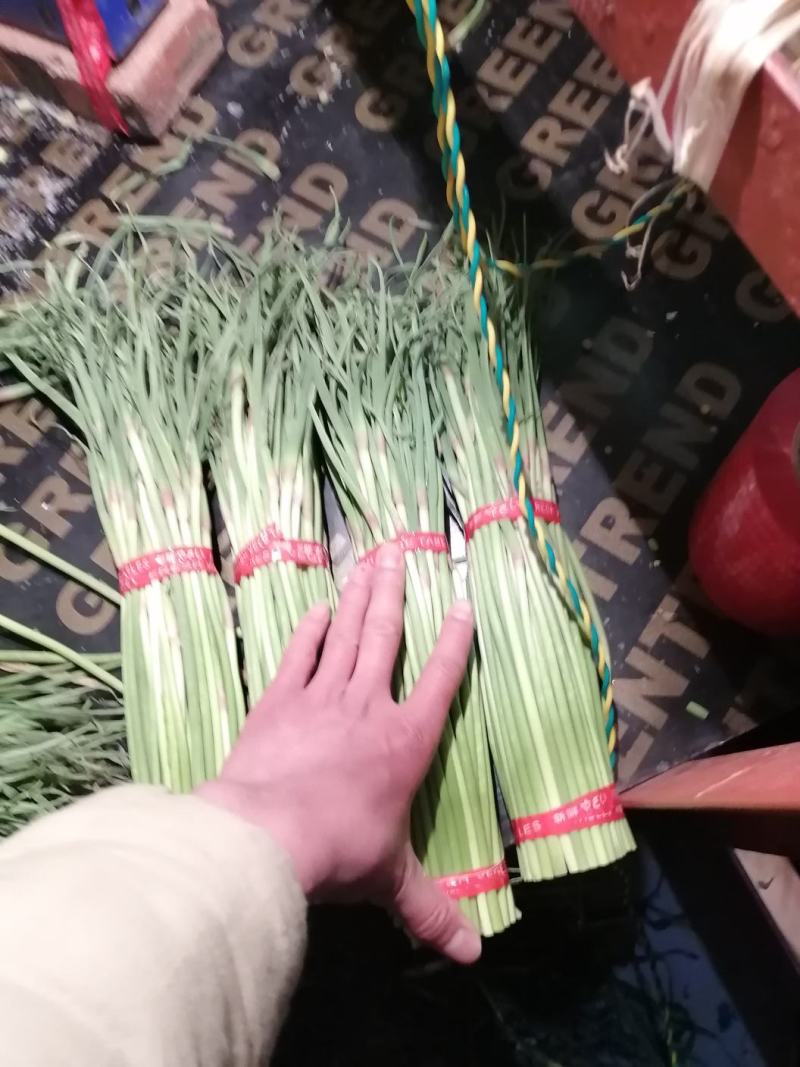 邳州精品蒜苔