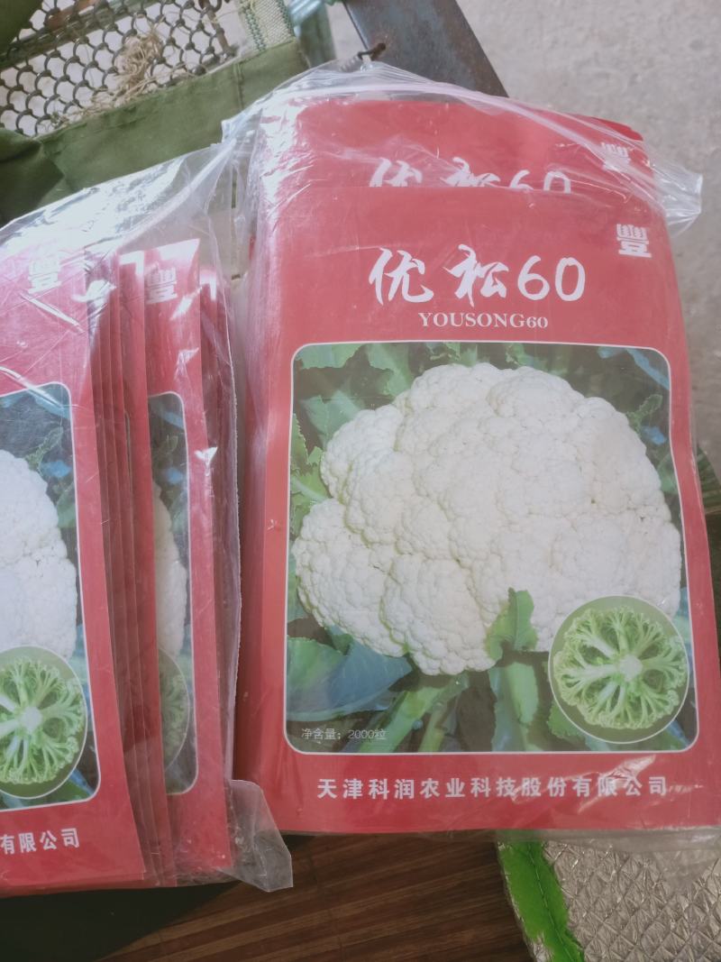 各种花菜苗，甘蓝苗，