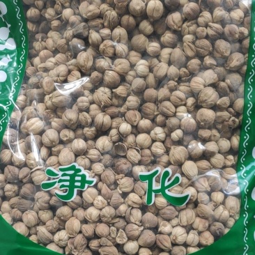 白豆蔻白叩干净无杂质量大从优欢迎选购！