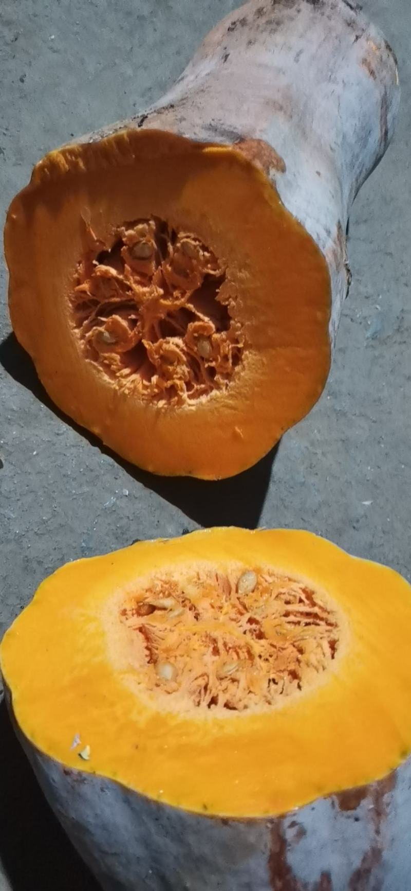 密本南瓜软烂甜糯肉厚皮薄