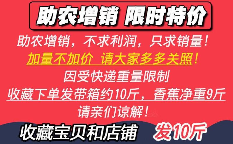 【一件代发】云南高山香蕉整箱当季水果新鲜自然熟香蕉皇帝蕉