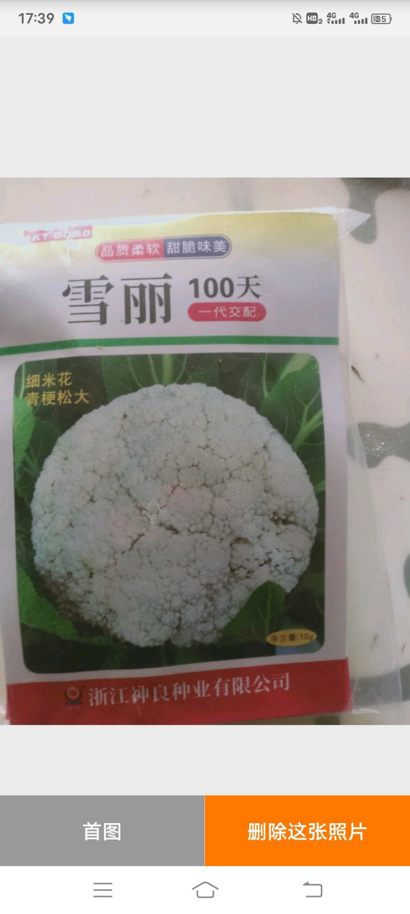 长年销售各种蔬菜苗