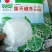 长年销售各种蔬菜苗
