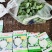 长年销售各种蔬菜苗