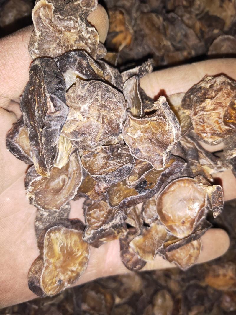 各种乌药产地直发货好要多优惠欢迎下单