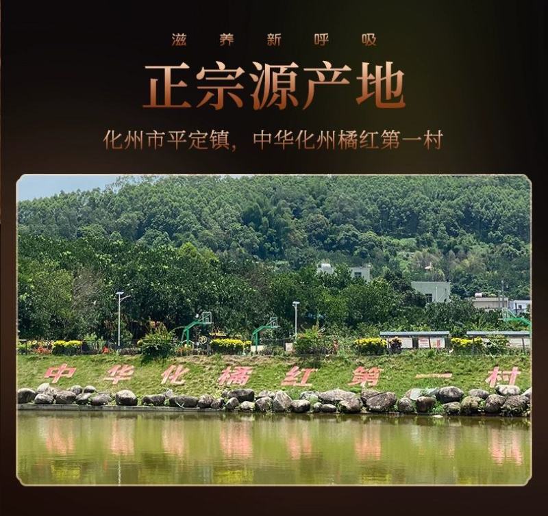 化橘红正宗陈年胎果皮(产地直发)量大从优
