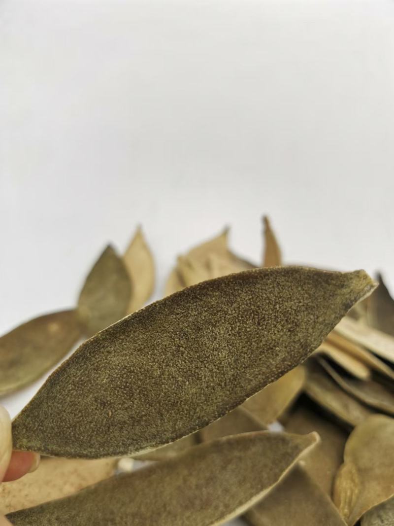 化橘红正宗陈年胎果皮(产地直发)量大从优
