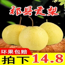 山西特产祁县酥梨水果批发