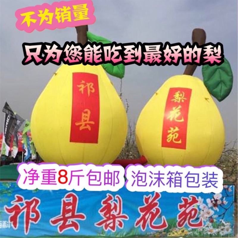山西特产祁县酥梨水果批发