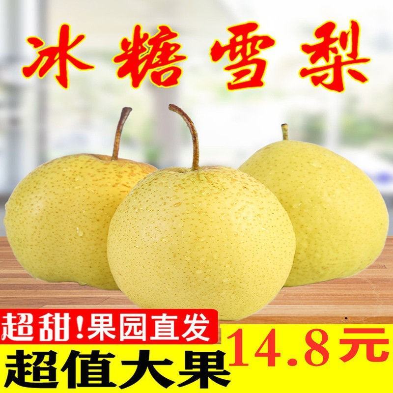 山西特产祁县酥梨水果批发