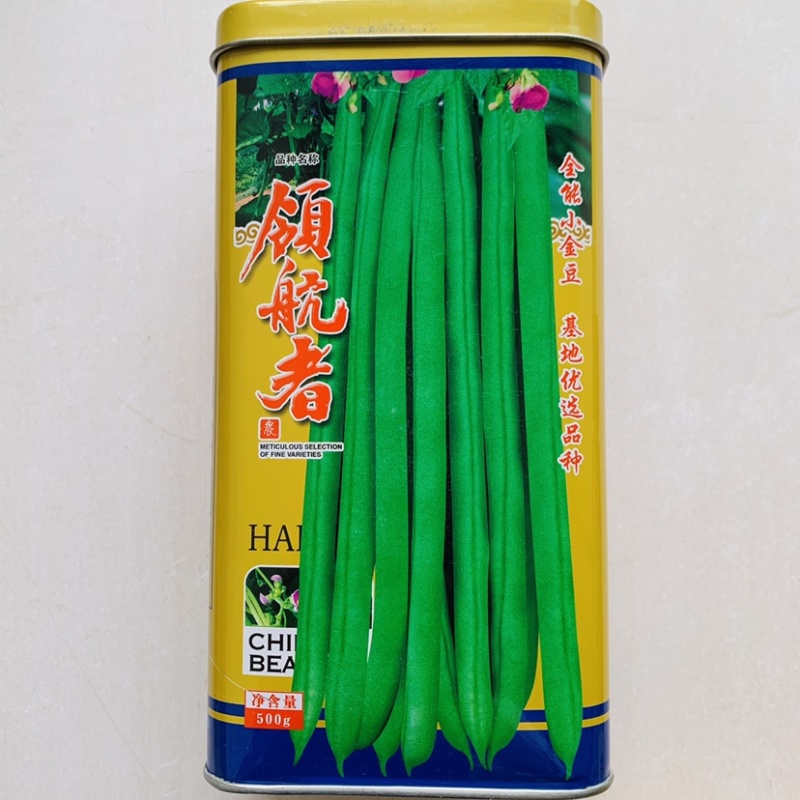全能小金豆种子抗寒耐热菜豆架豆种子春秋露地嫩荚绿色圆棍型