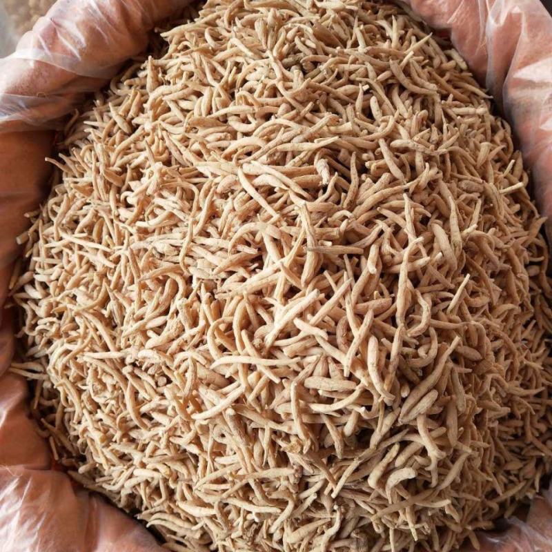 太子参干货太子参量大从优！欢迎选购！