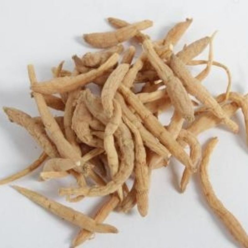 太子参干货太子参量大从优！欢迎选购！