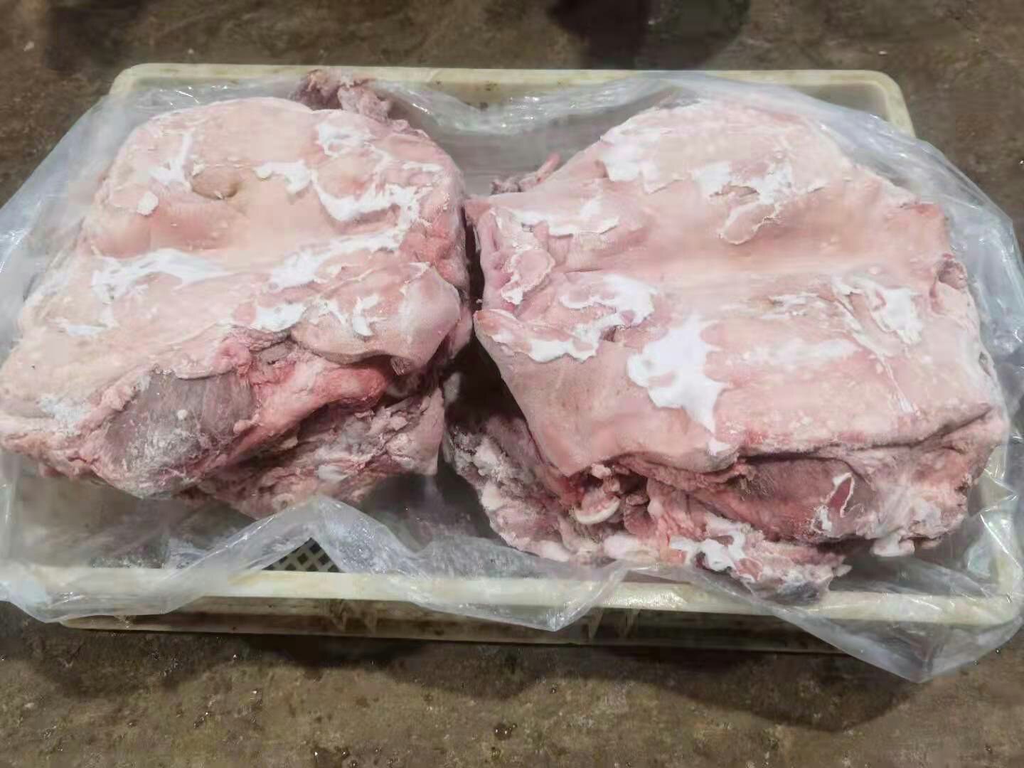 选购健康活猪