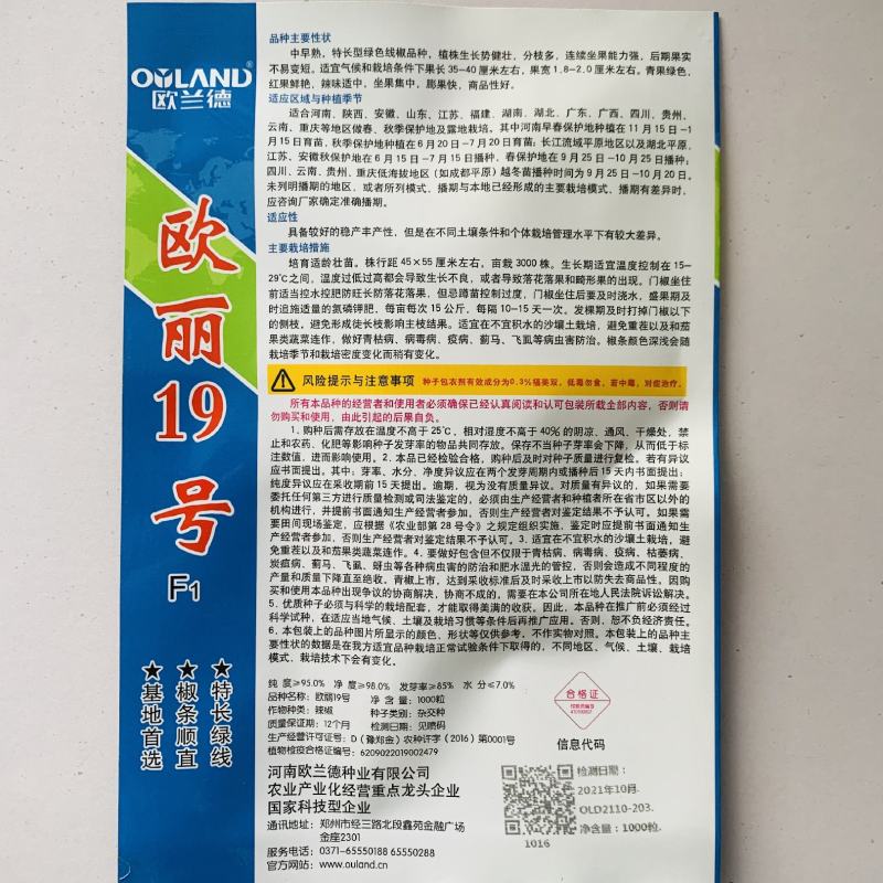 欧丽19号特长绿线椒种子中早熟中辣条椒种籽椒条顺直辣椒