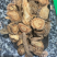 防风防风片好统货质量好价格低产地直供量大优惠