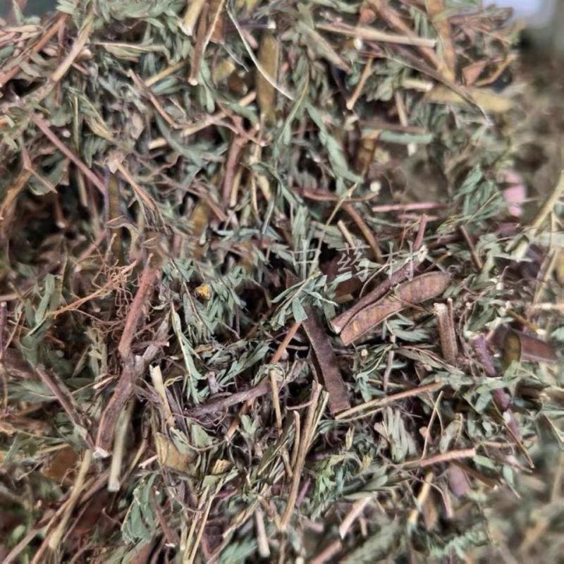 软肝草干货中草药干净无杂质常年经营各种中药材