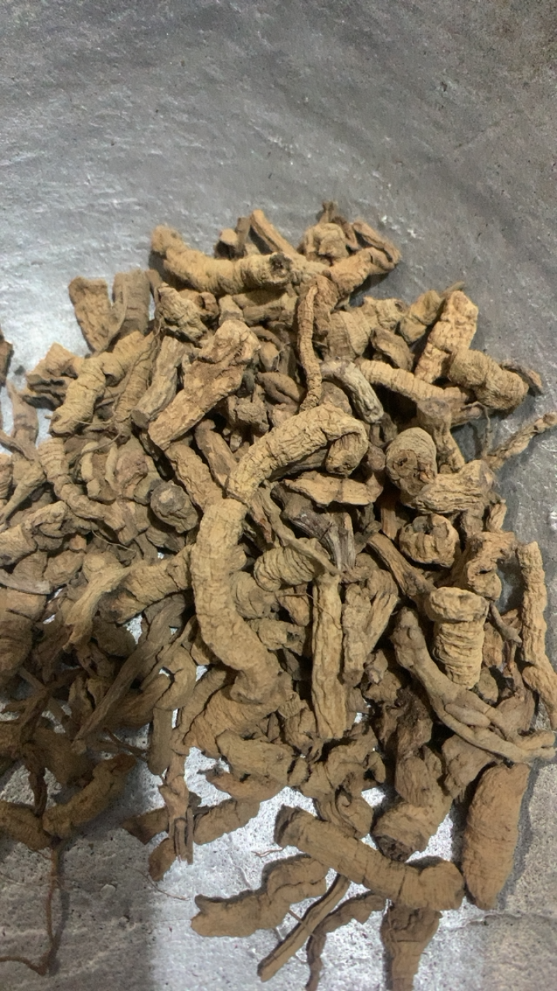 巴戟巴戟肉抽心统货过筛去泥颜色好产地直供各种规格