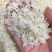 燕窝碎高品质燕碎零添加高泡发亏本引流一件代发