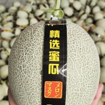 山东网纹瓜，网纹哈密瓜，牛三，美华，产地直供，品牌公司货