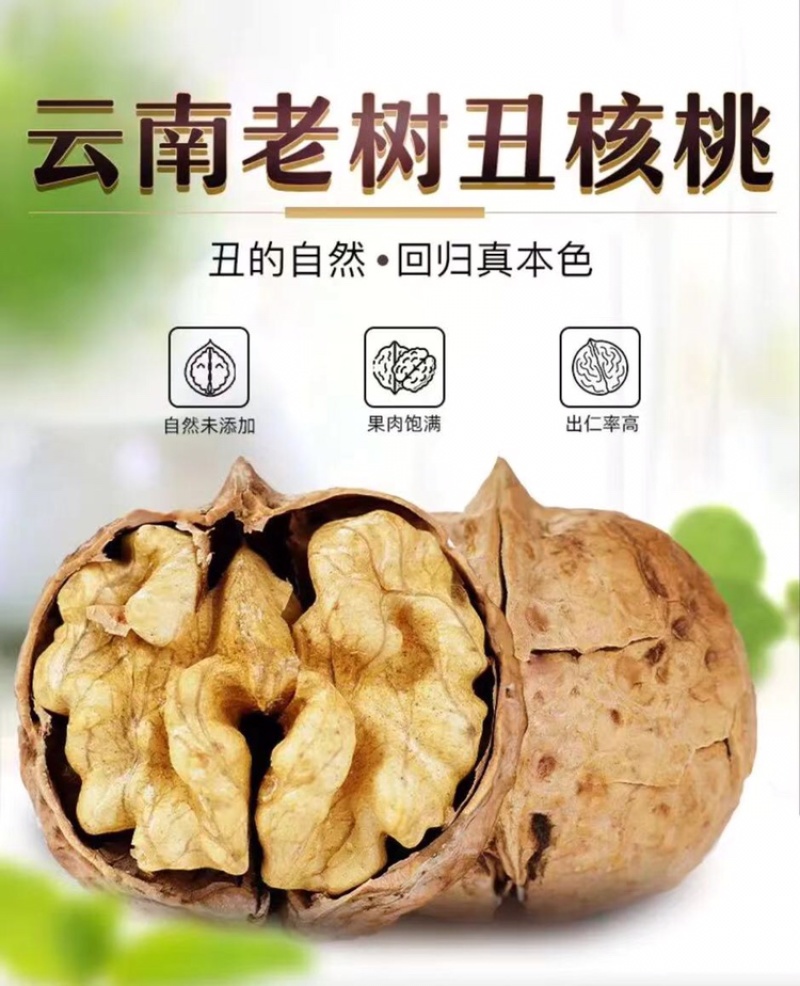 云南薄皮核桃大量现货口感正质量好坚果零食必备单品