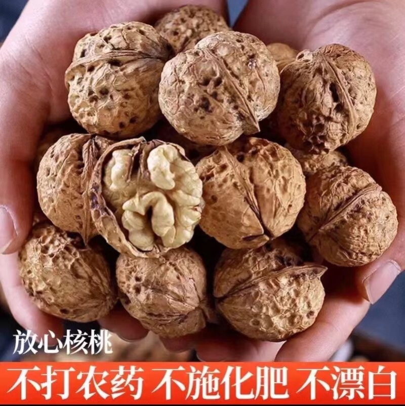 云南薄皮核桃大量现货口感正质量好坚果零食必备单品