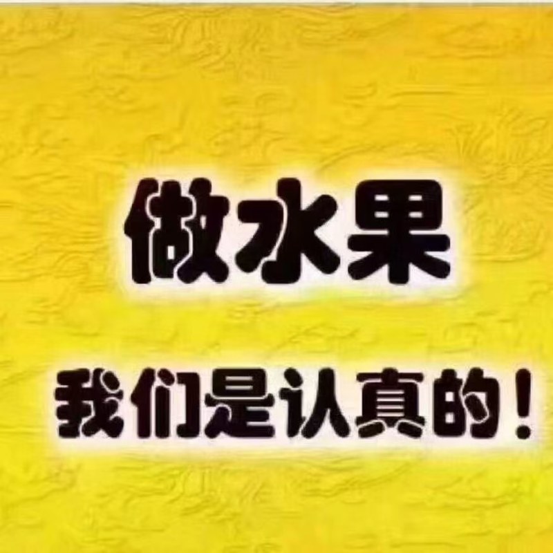 白水秦冠苹果个大色红，甜脆多汁，各地客商正在收购中