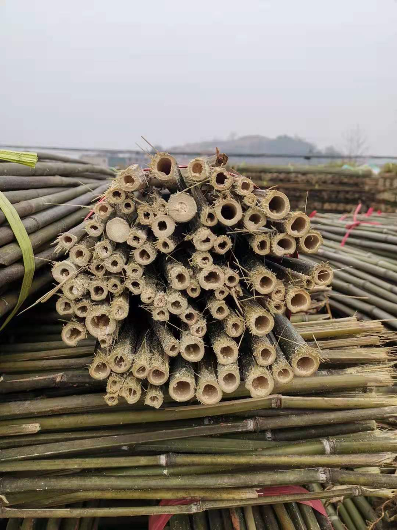 竹子：湖南优质竹子架条，品牌规格齐全，新货现卖，产地批发
