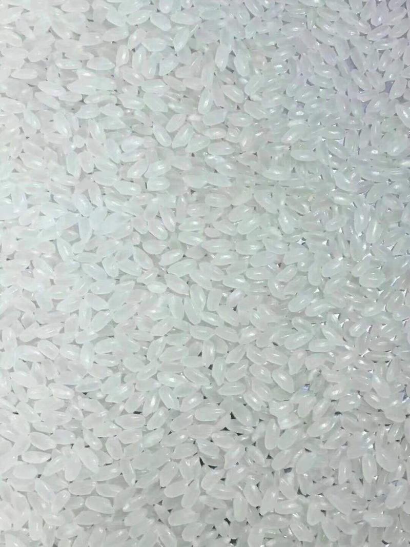 常年出售圆粒珍珠米，新粮，陈粮都有，长粒香大米