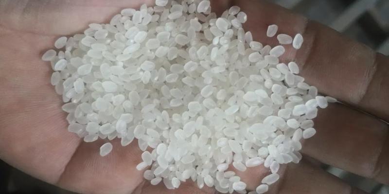 常年出售圆粒珍珠米，新粮，陈粮都有，长粒香大米